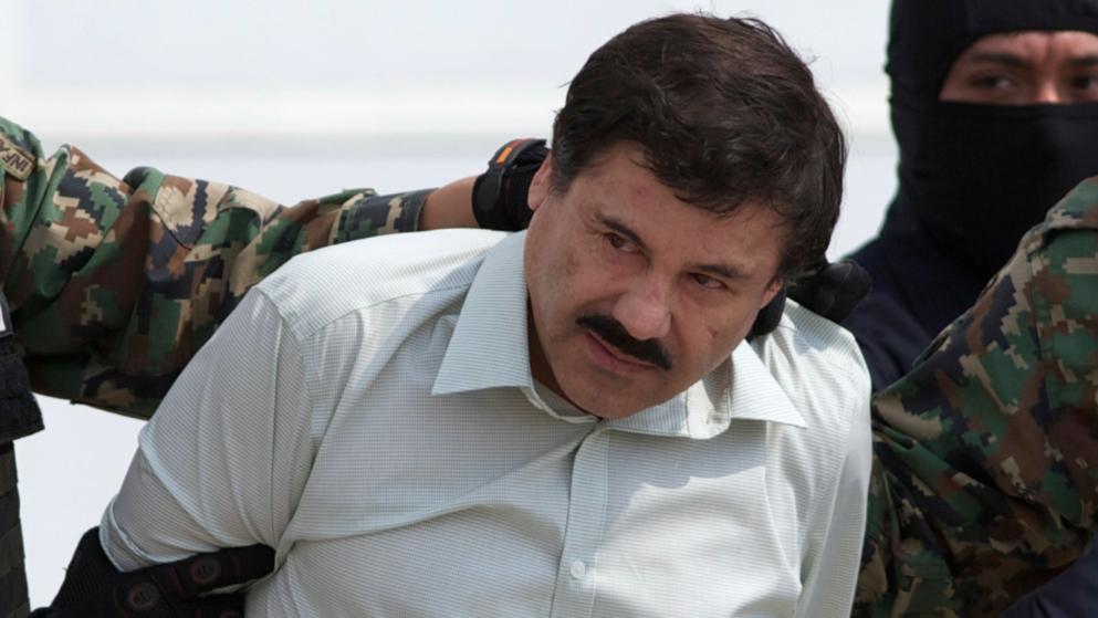 El Chapo Wydany Amerykanom, GanjaFarmer, Ganja Farmer