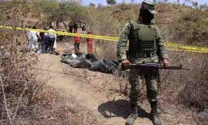 Meksyk: Policja Znalazła Części Ciała Zapakowane w Reklamówki, GanjaFarmer, Ganja Farmer
