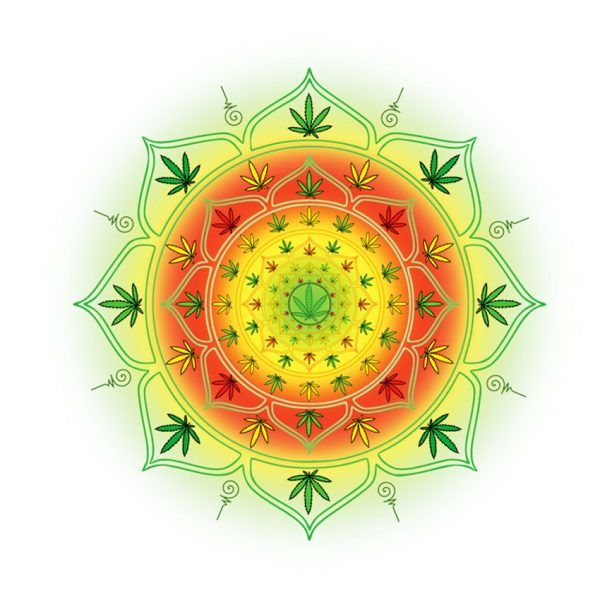 Cannabis i Medytacja, GanjaFarmer, Ganja Farmer