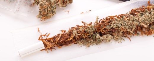 Czy Tytoń Nasila Działanie Cannabisu (Marihuany)?, GanjaFarmer, Ganja Farmer