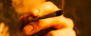Czy palenie marihuany może wywoływać zespół amotywacyjny?, GanjaFarmer, Ganja Farmer