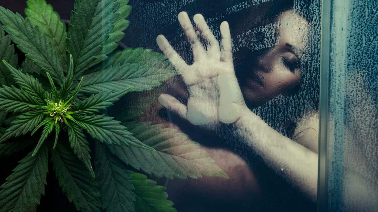 Cannabis Jako Afrodyzjak, GanjaFarmer, Ganja Farmer
